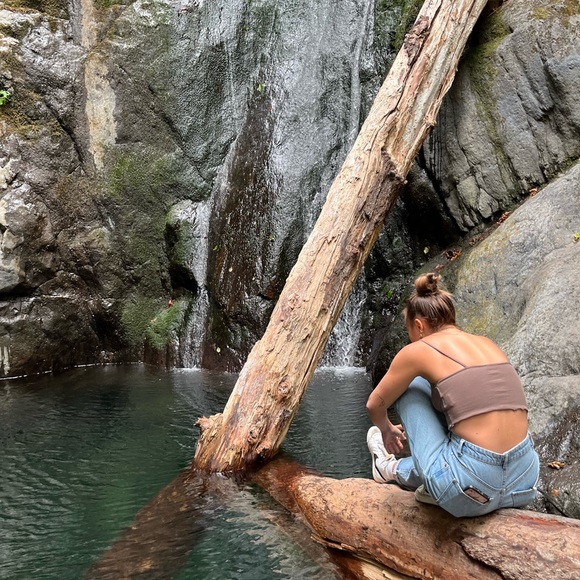 Meet your Posher, Louanne - Picture 1 of 1